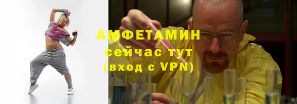 сатива Туринск