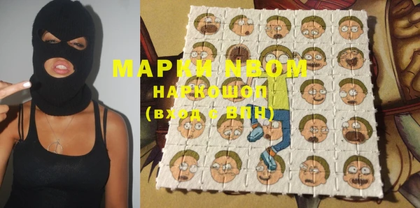 сатива Туринск