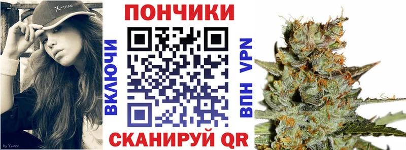 Купить закладки  Шуя  Конопля ГИДРОПОН 